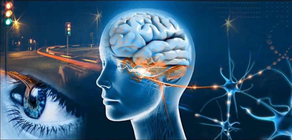 Neuro-ophthalmology